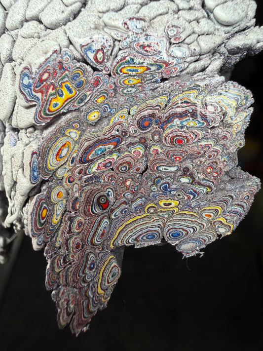 Kenworth Dragonskin Fordite 13 1/2" x 3 1/2 - 5 1/4" x 1.1 - 1.4”