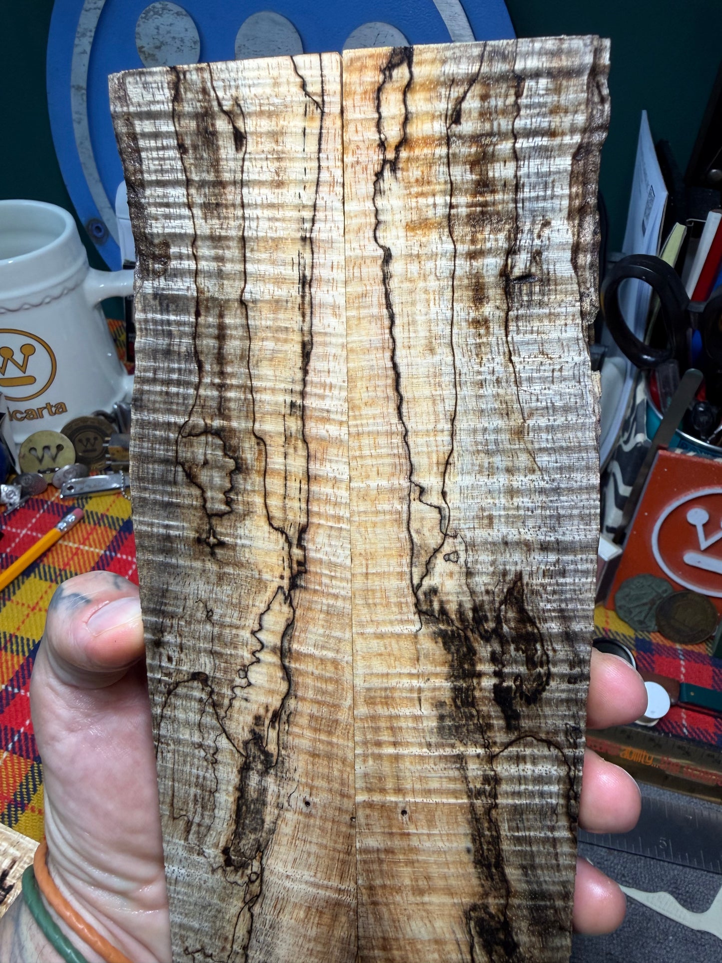 Spalted Curly Koa Scales SK5 8 1/2-10 1/2”x1 7/16-2”x.37