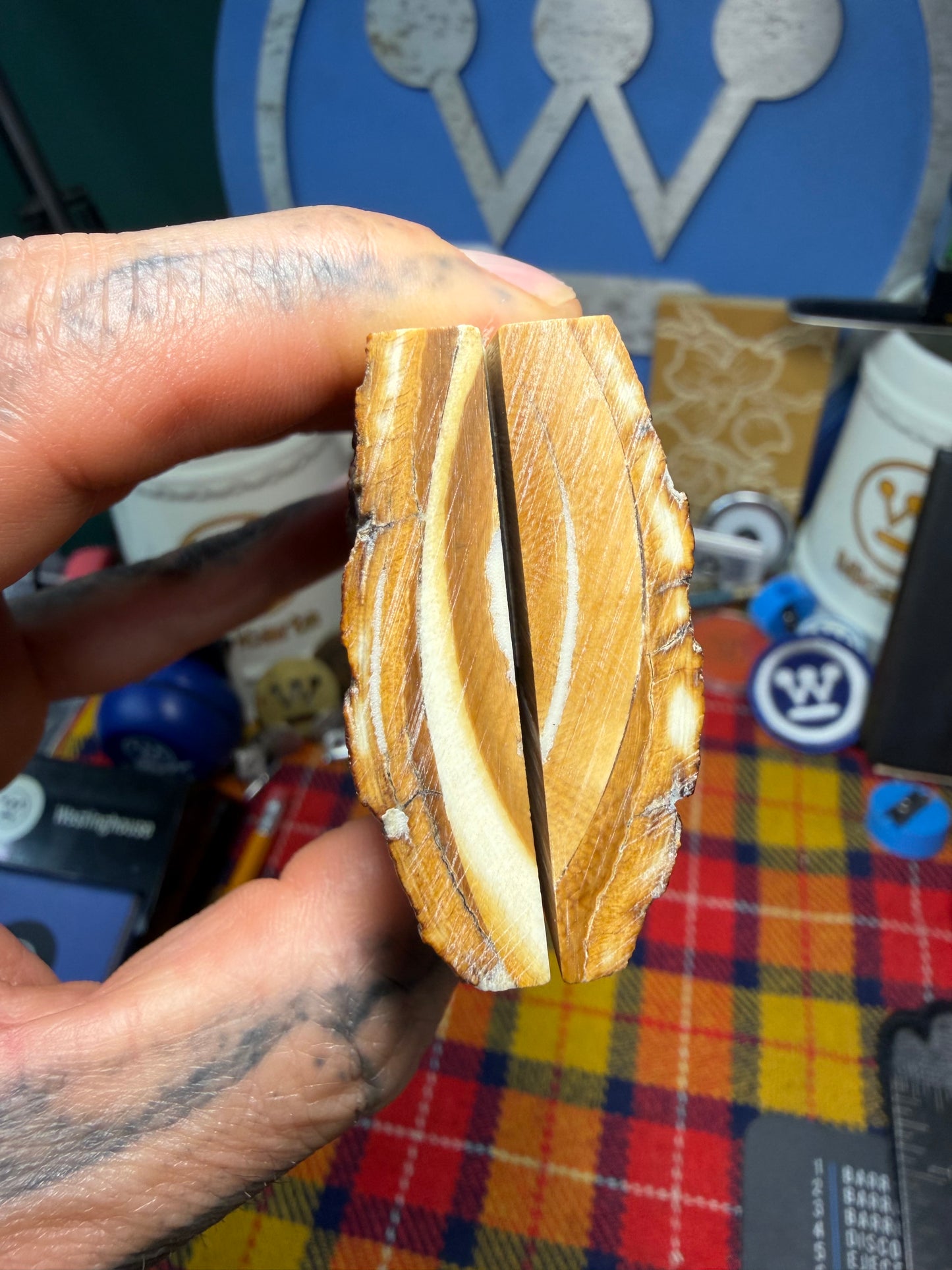 Stabilized Fossil Woolly Mammoth Tusk Scales WMT1 4 15/16”x1 3/4”x.43”