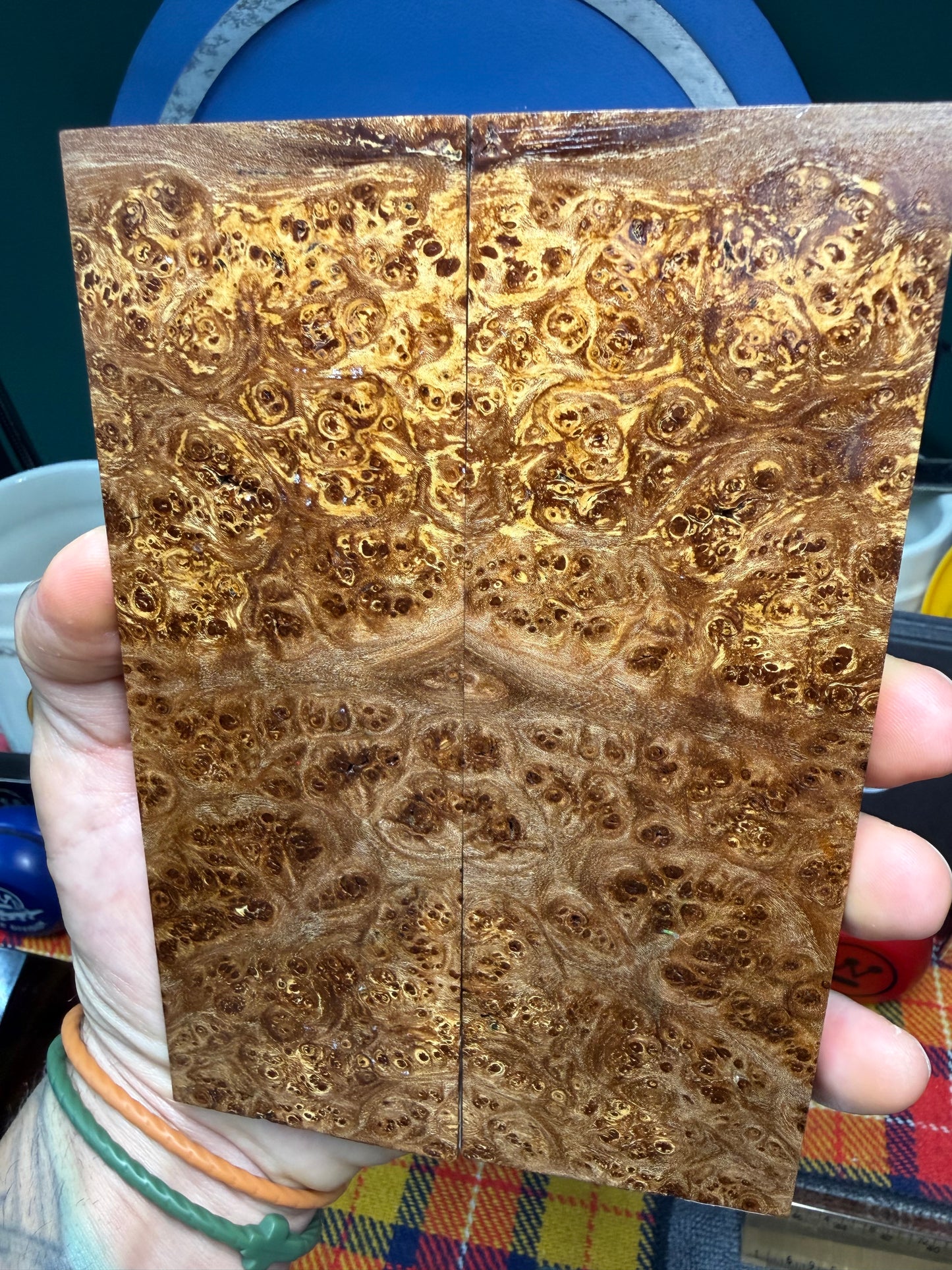 Spalted Almond Burl Scales SALB3 6 1/4”x2 1/8”x.41”