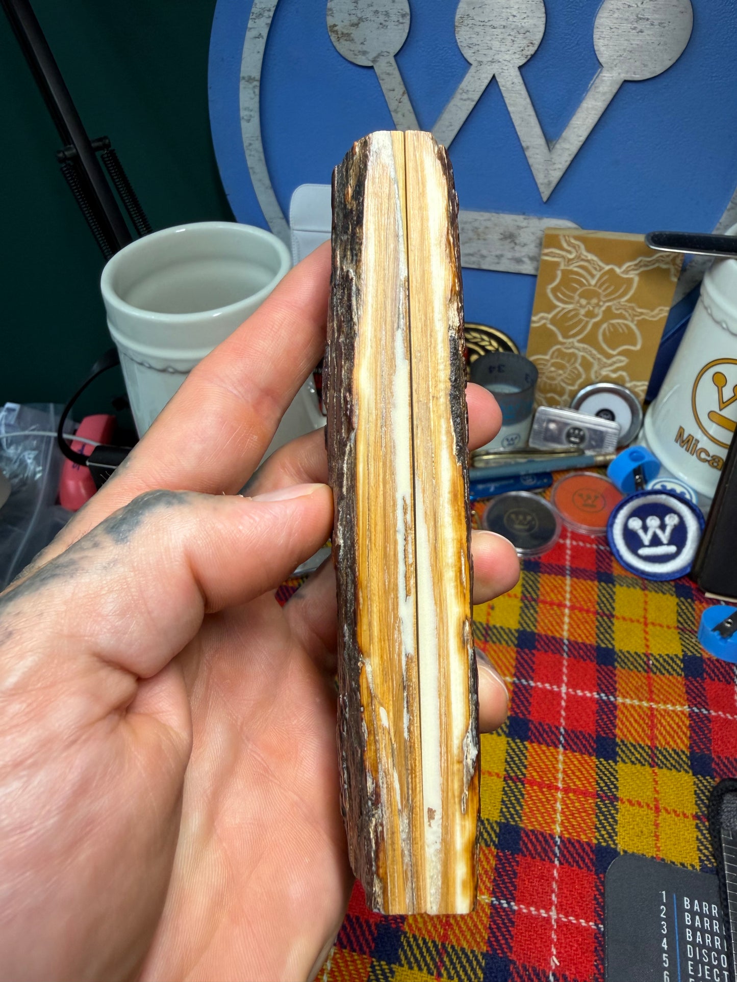 Stabilized Fossil Woolly Mammoth Tusk Scales WMT1 4 15/16”x1 3/4”x.43”
