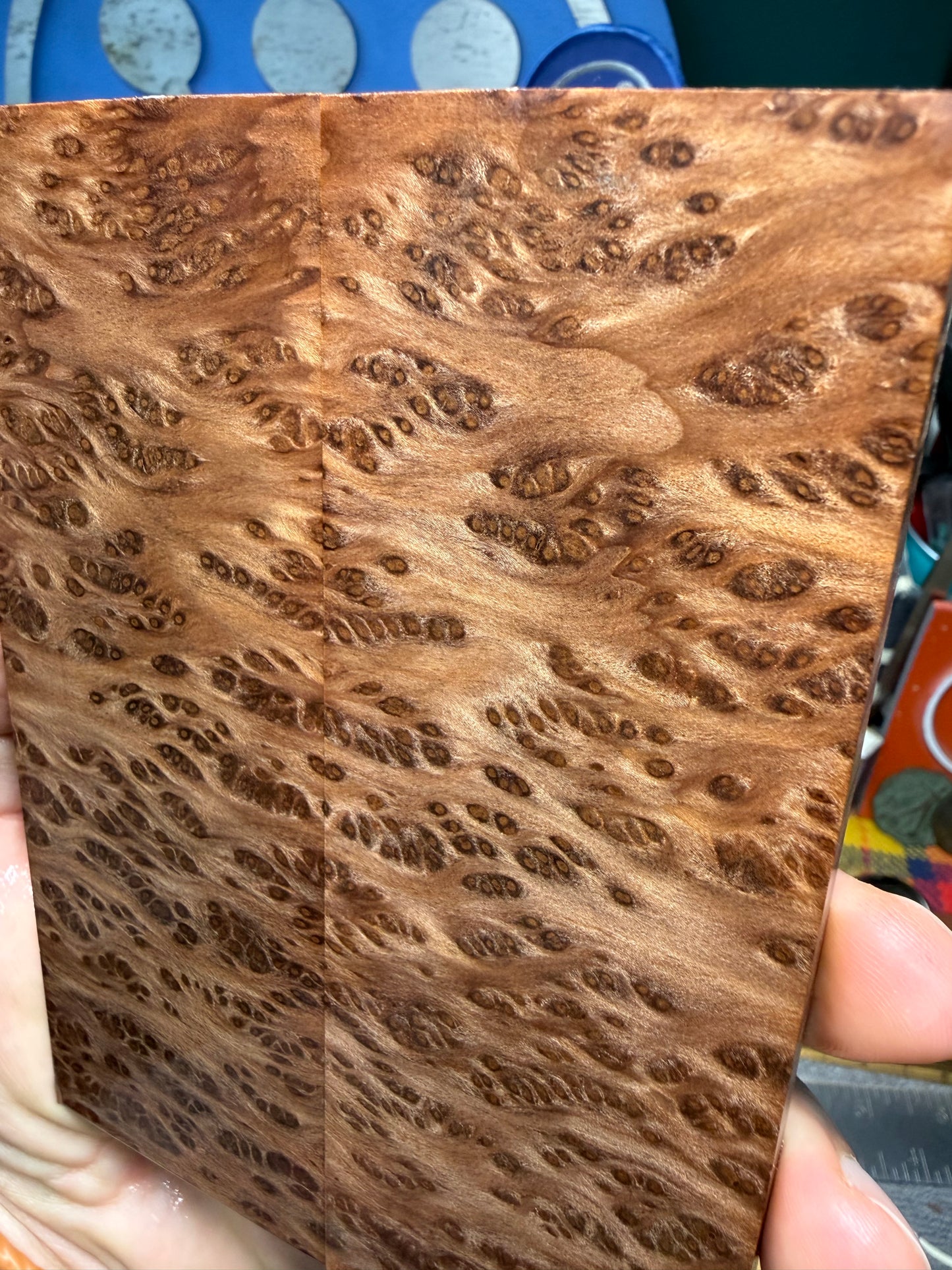 OG Redwood Burl Scales RWB1 5 3/4”x2”x.35”