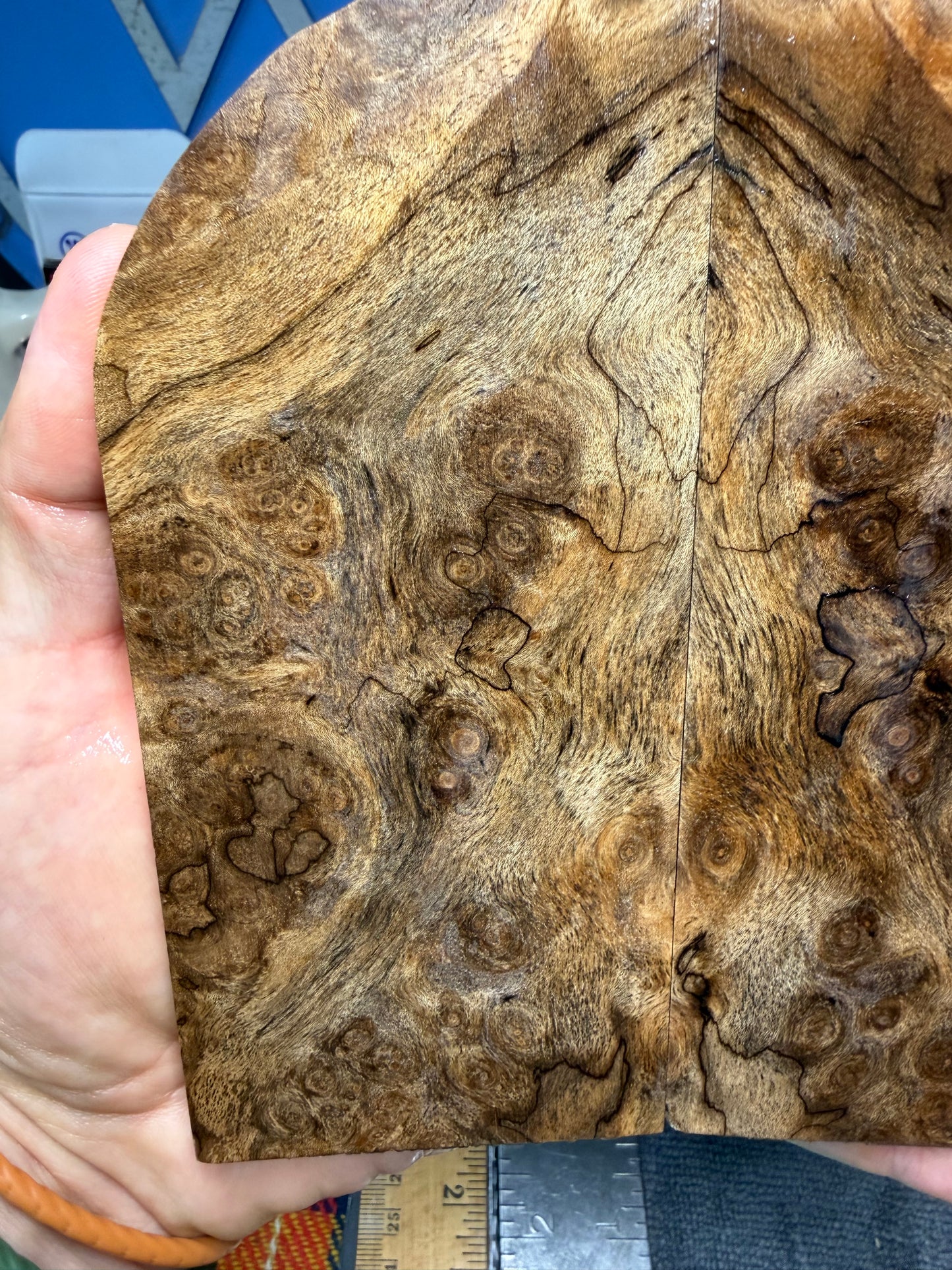 Spalted Turkish Walnut Burl Scales STW1 5 3/4”x2 1/2”x.33+”