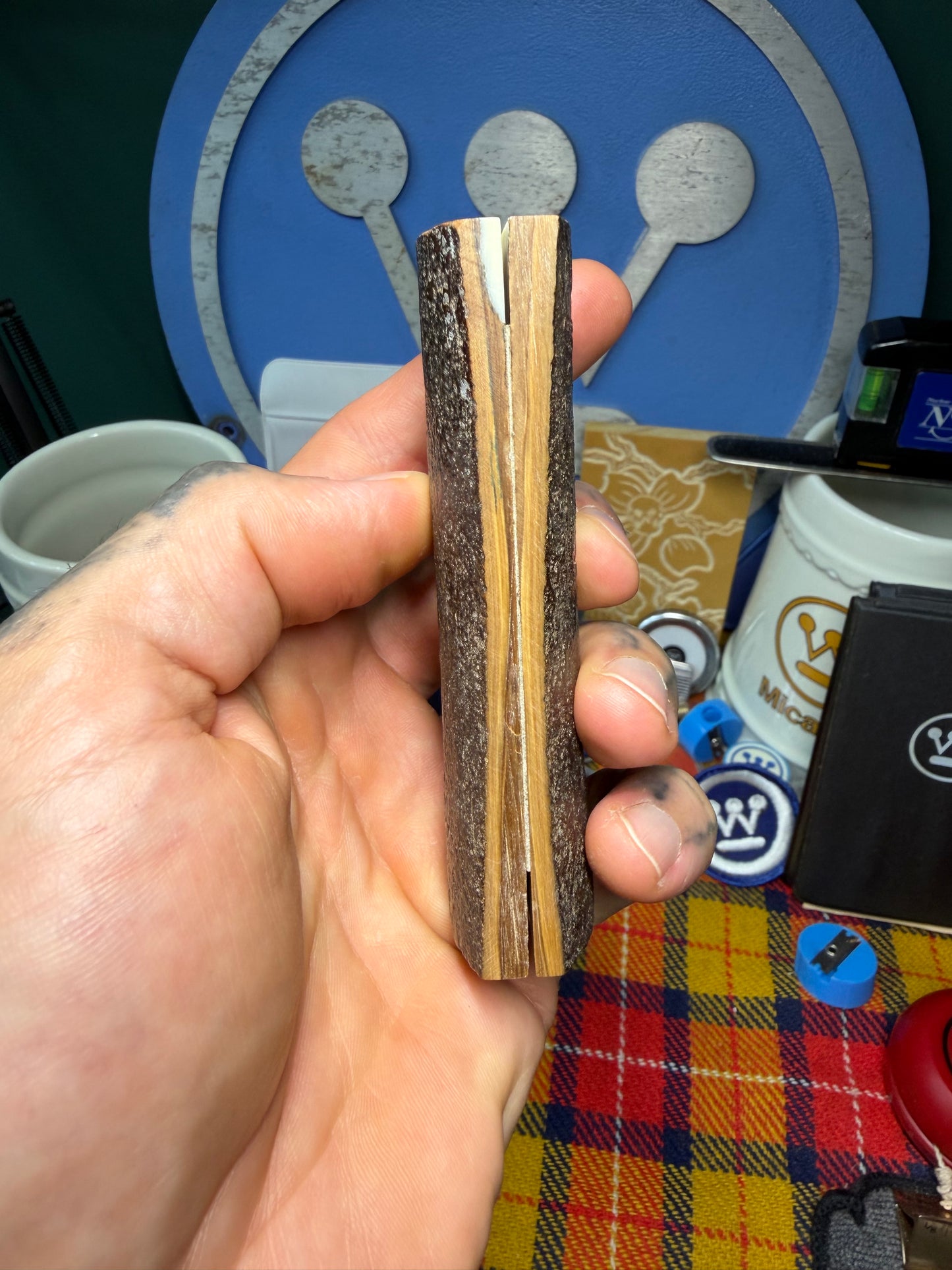 Stabilized Fossil Woolly Mammoth Tusk Scales WMT2 3 13/16”x1 3/8”x.37”