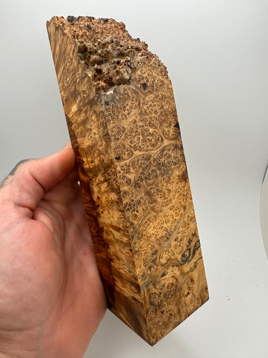 Stabilized Live-Edge Heart/Sap Amboyna Burl Block 5 1/2”-7 3/4” x 2” x 1 7/8”