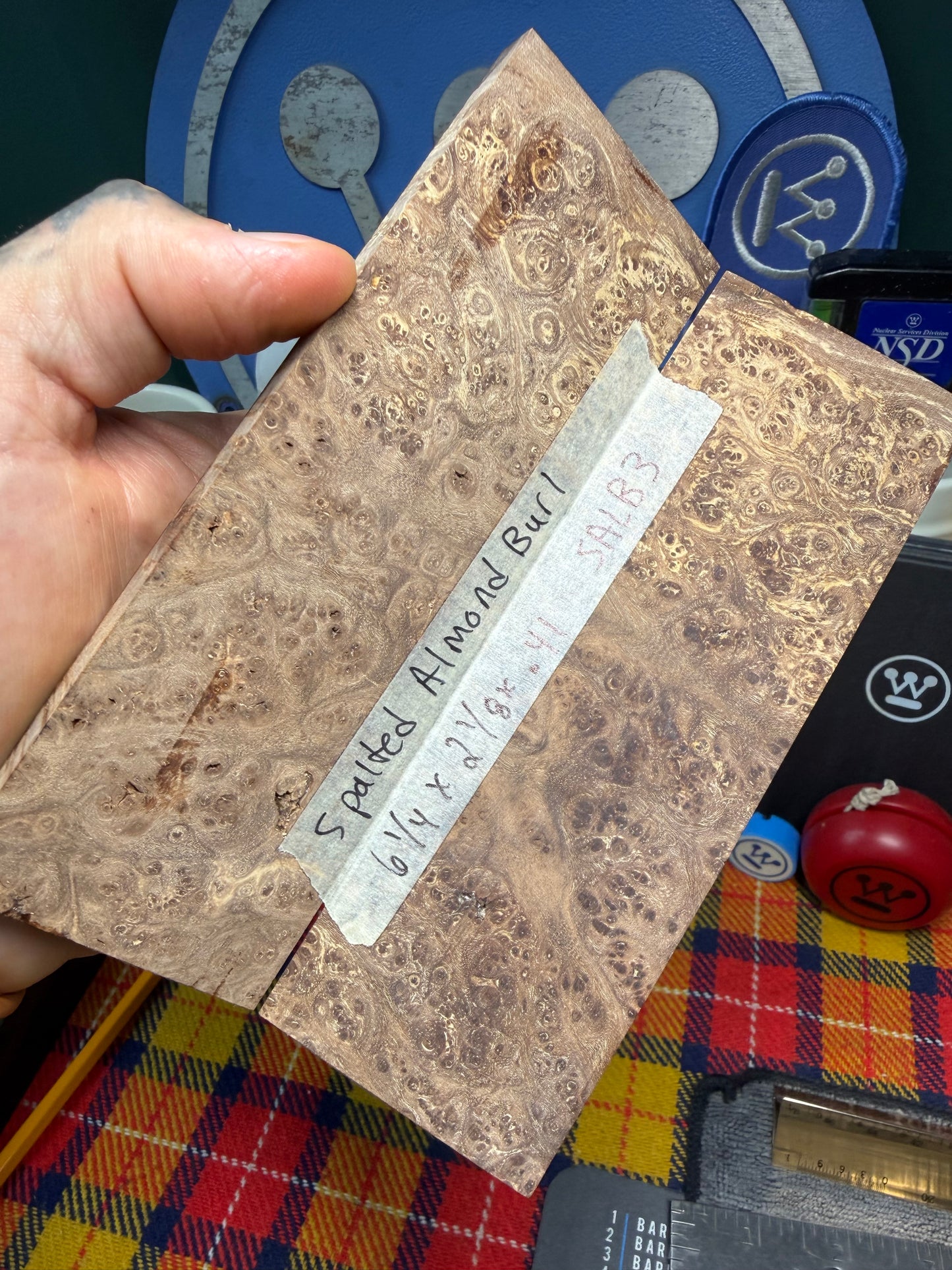 Spalted Almond Burl Scales SALB3 6 1/4”x2 1/8”x.41”