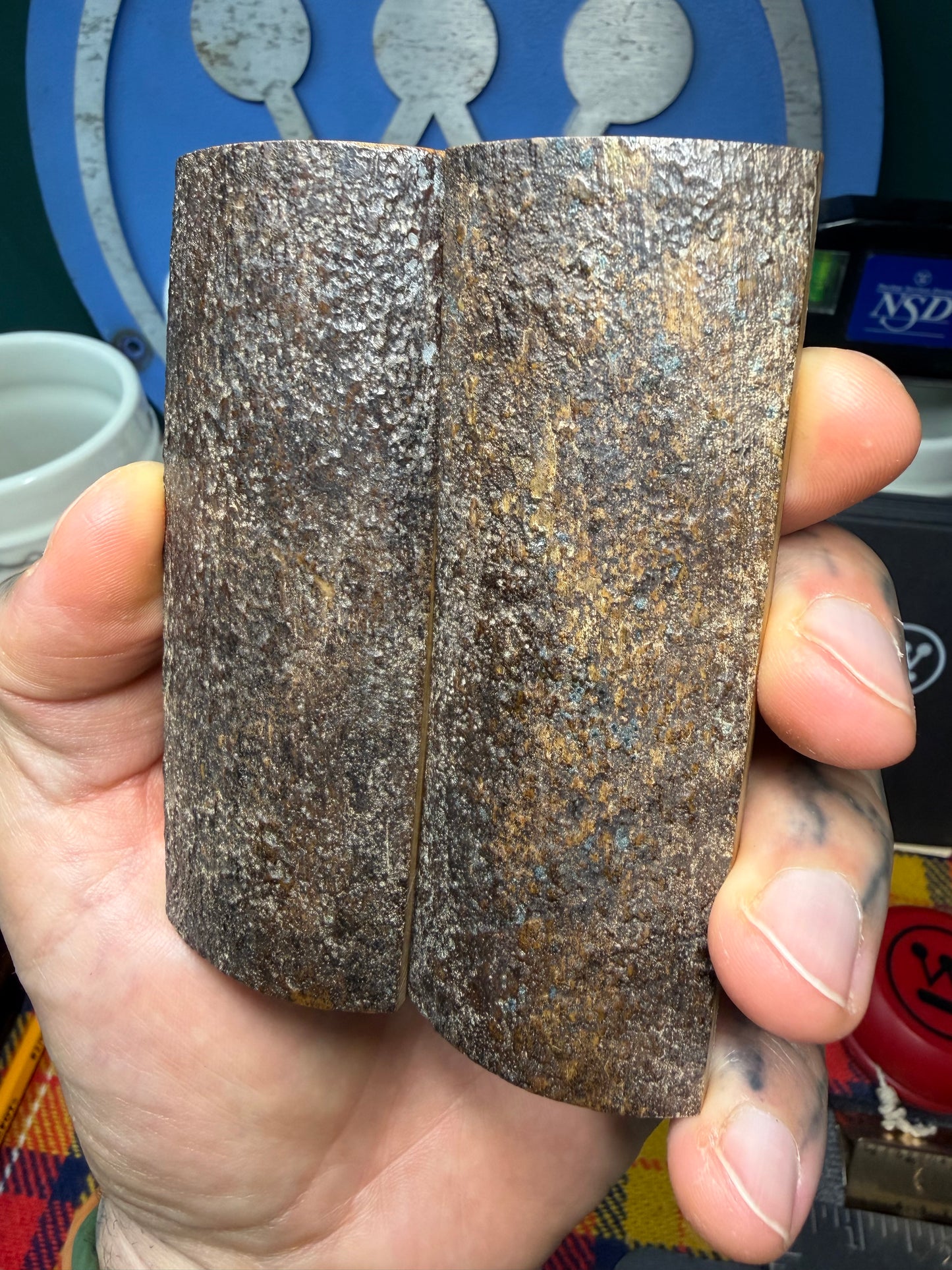 Stabilized Fossil Woolly Mammoth Tusk Scales WMT2 3 13/16”x1 3/8”x.37”