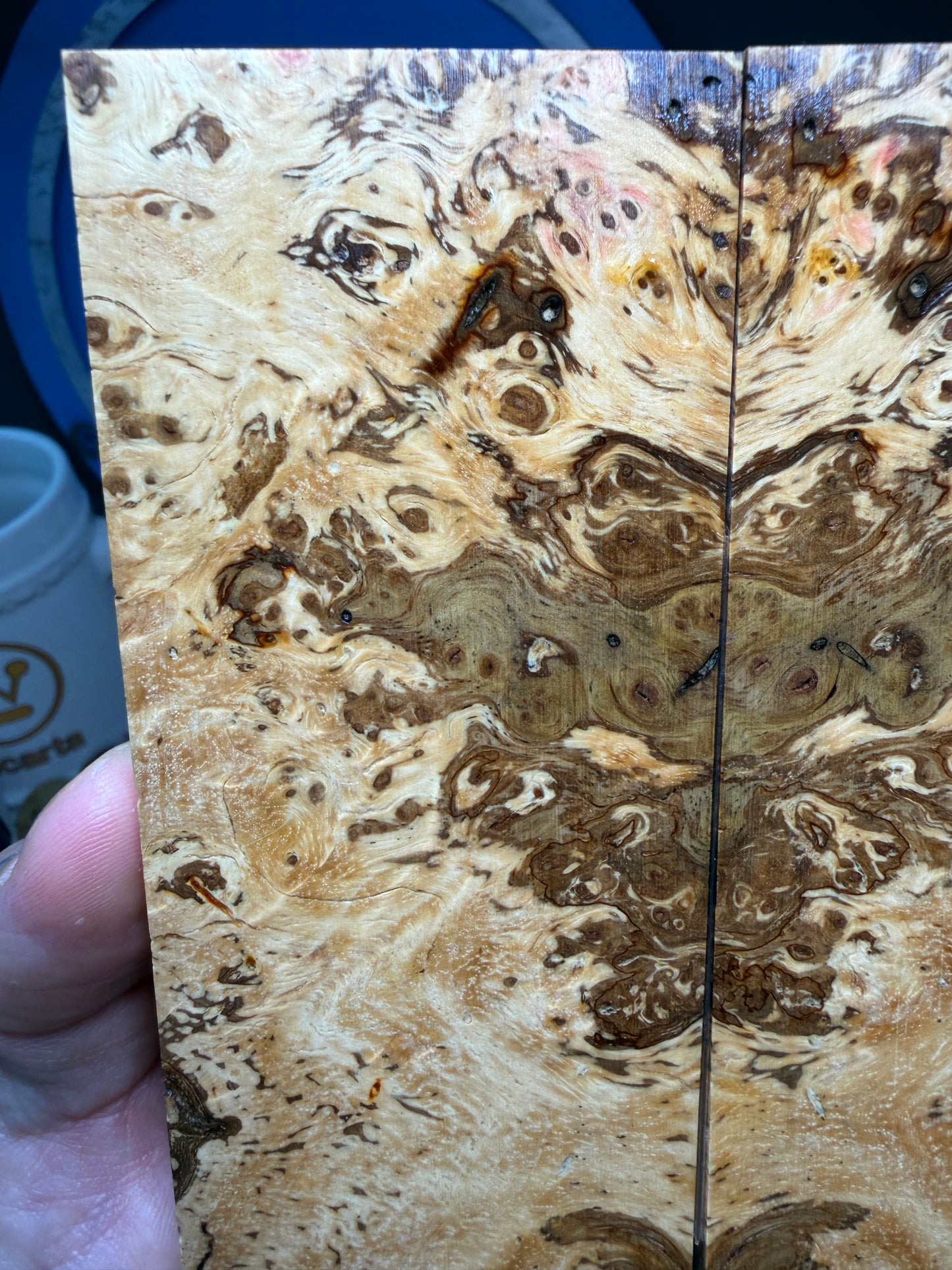 Spalted Almond Burl Scales SALB2 5 5/8”x2 1/16”x.4”