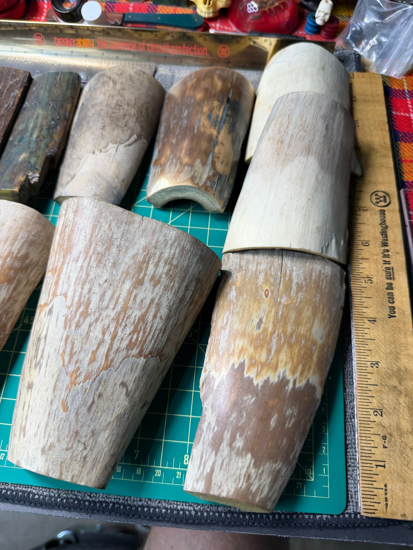 Fossil Woolly Mammoth Tusk (15 PC Lot)