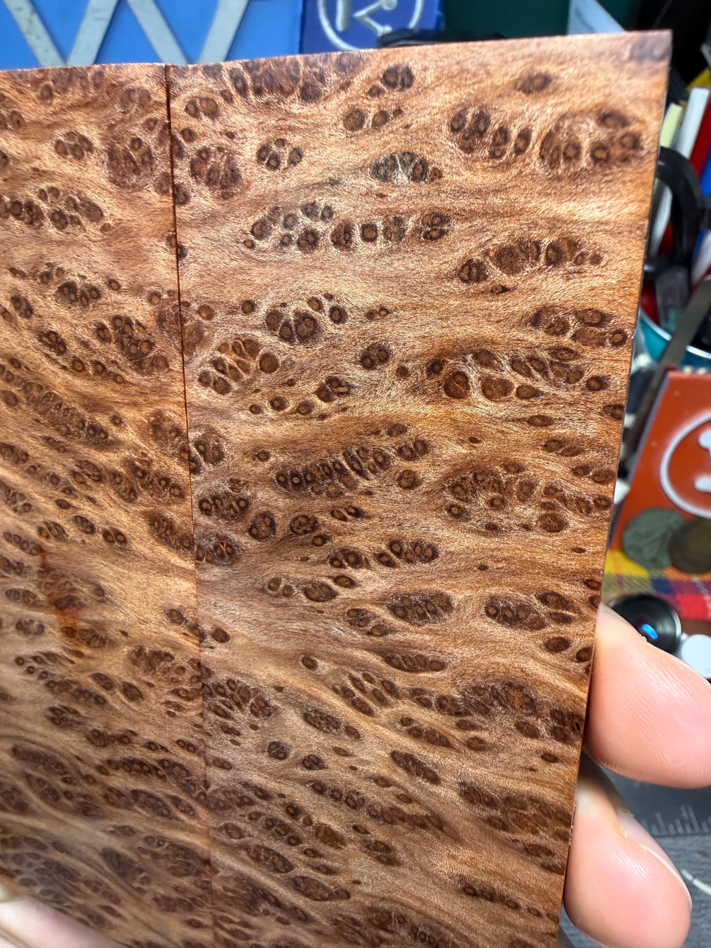 OG Redwood Burl Scales RWB2 5 3/4”x2”x.35”