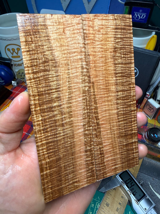 Curly Mango Scales CM1 5 5/8”x1 13/16”x.36