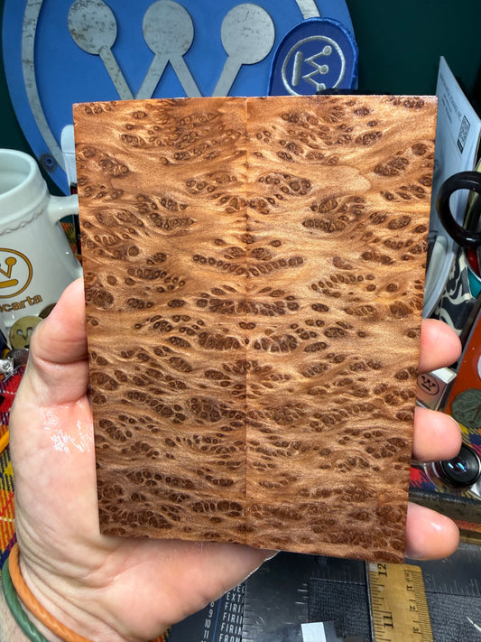 OG Redwood Burl Scales RWB1 5 3/4”x2”x.35”