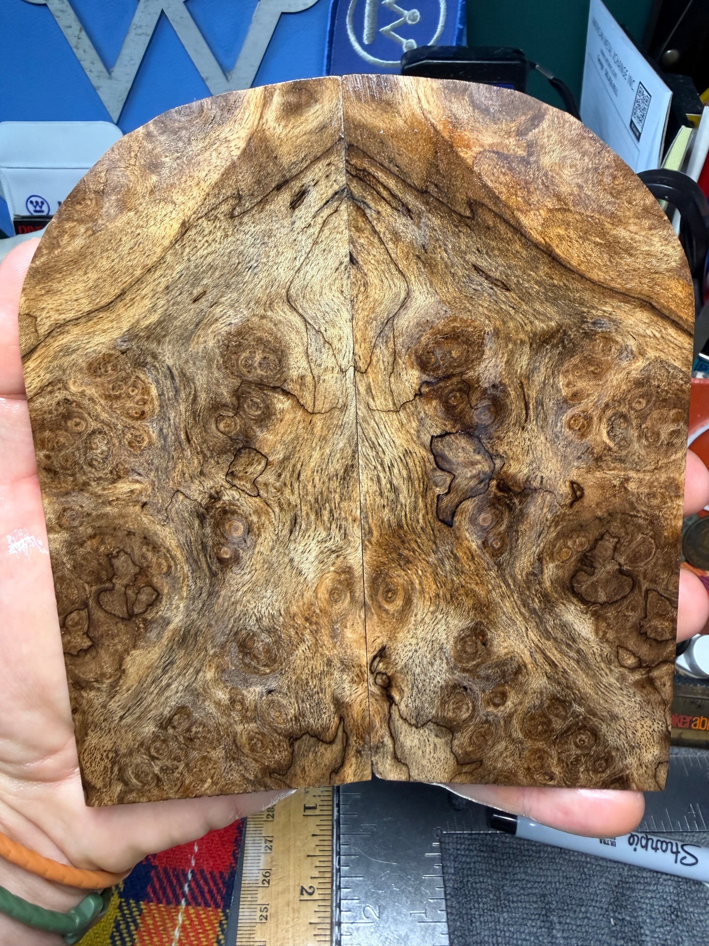 Spalted Turkish Walnut Burl Scales STW1 5 3/4”x2 1/2”x.33+”