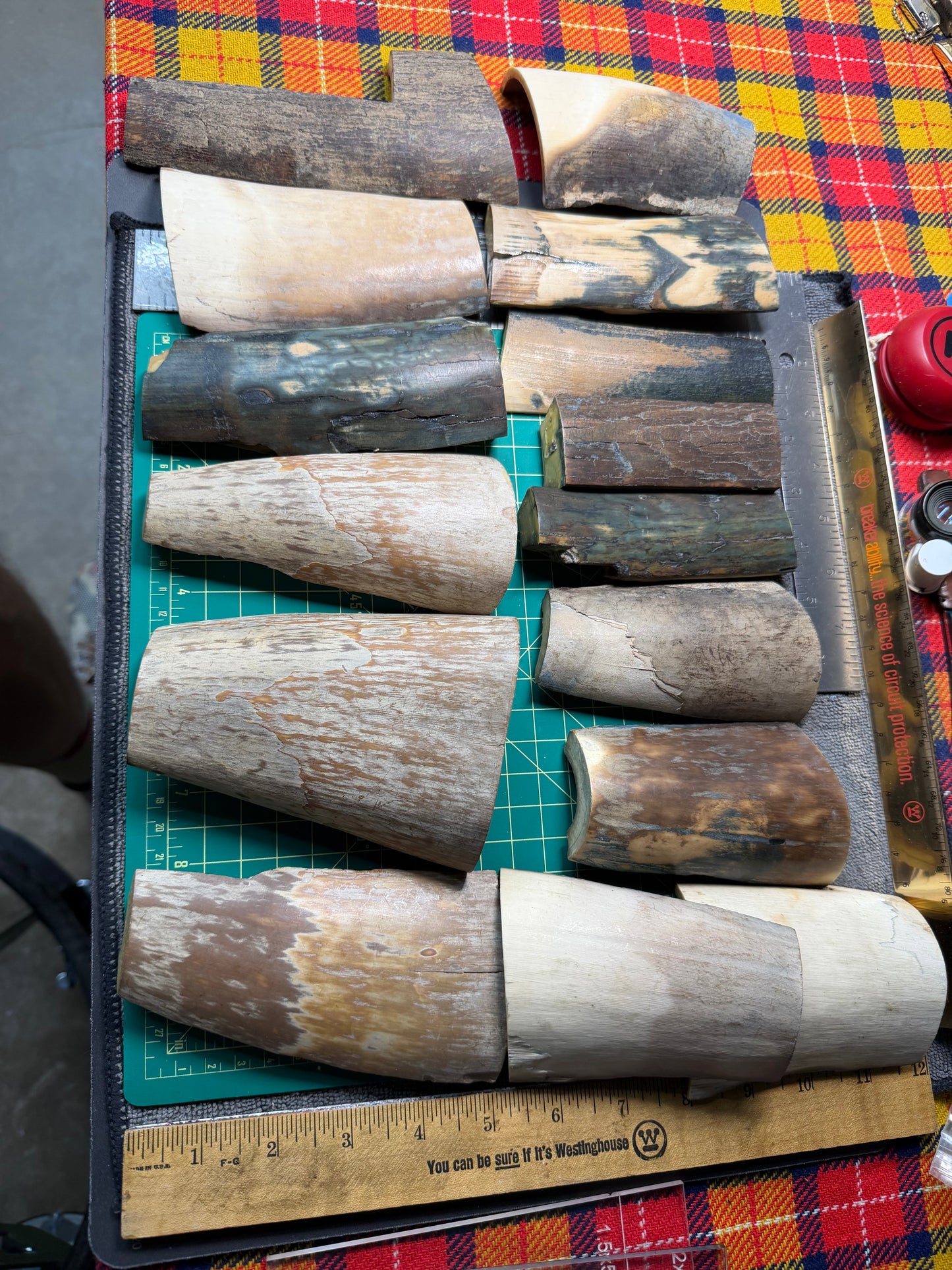 Fossil Woolly Mammoth Tusk (15 PC Lot)