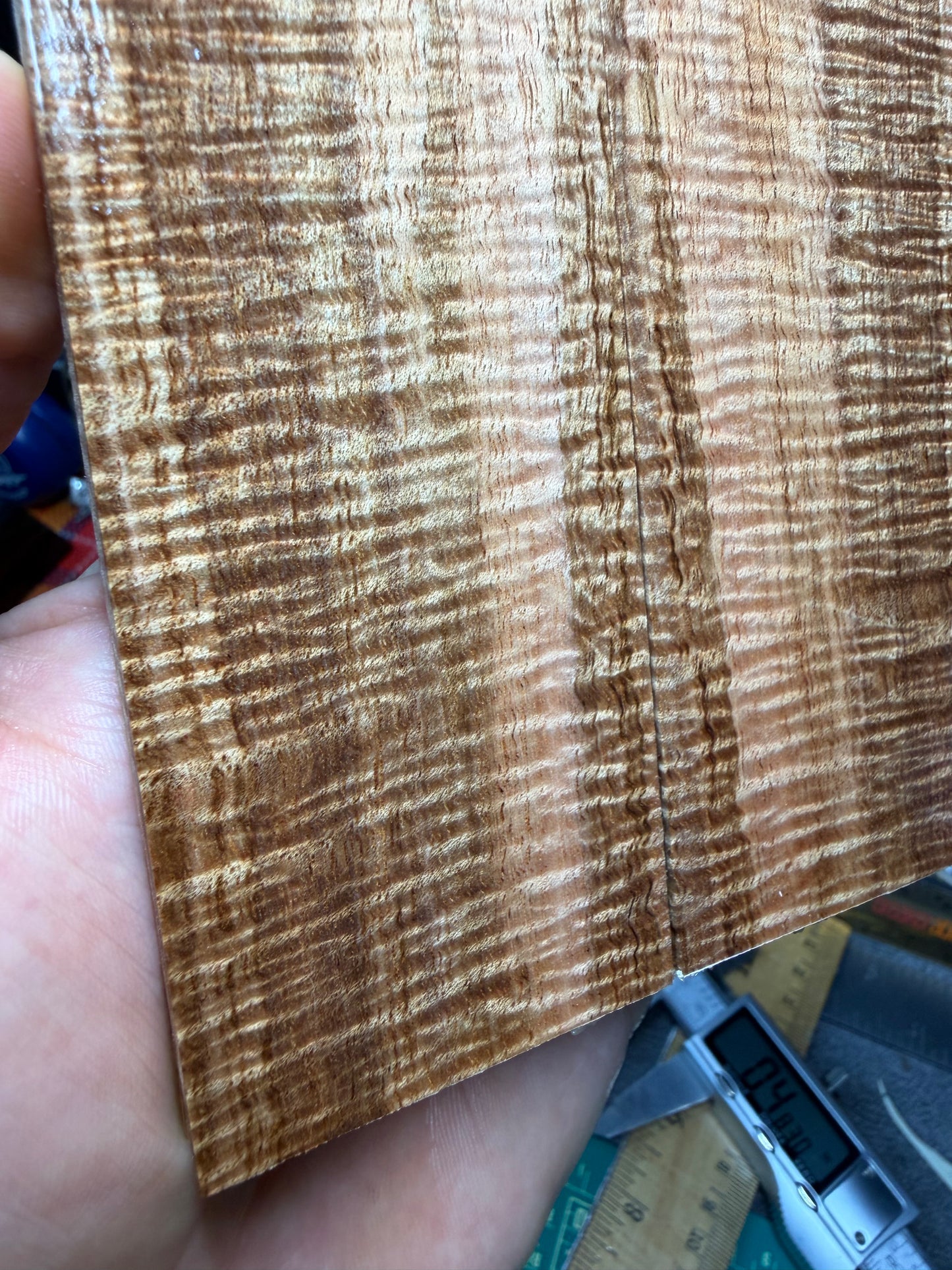 Curly Mango Scales CM1 5 5/8”x1 13/16”x.36