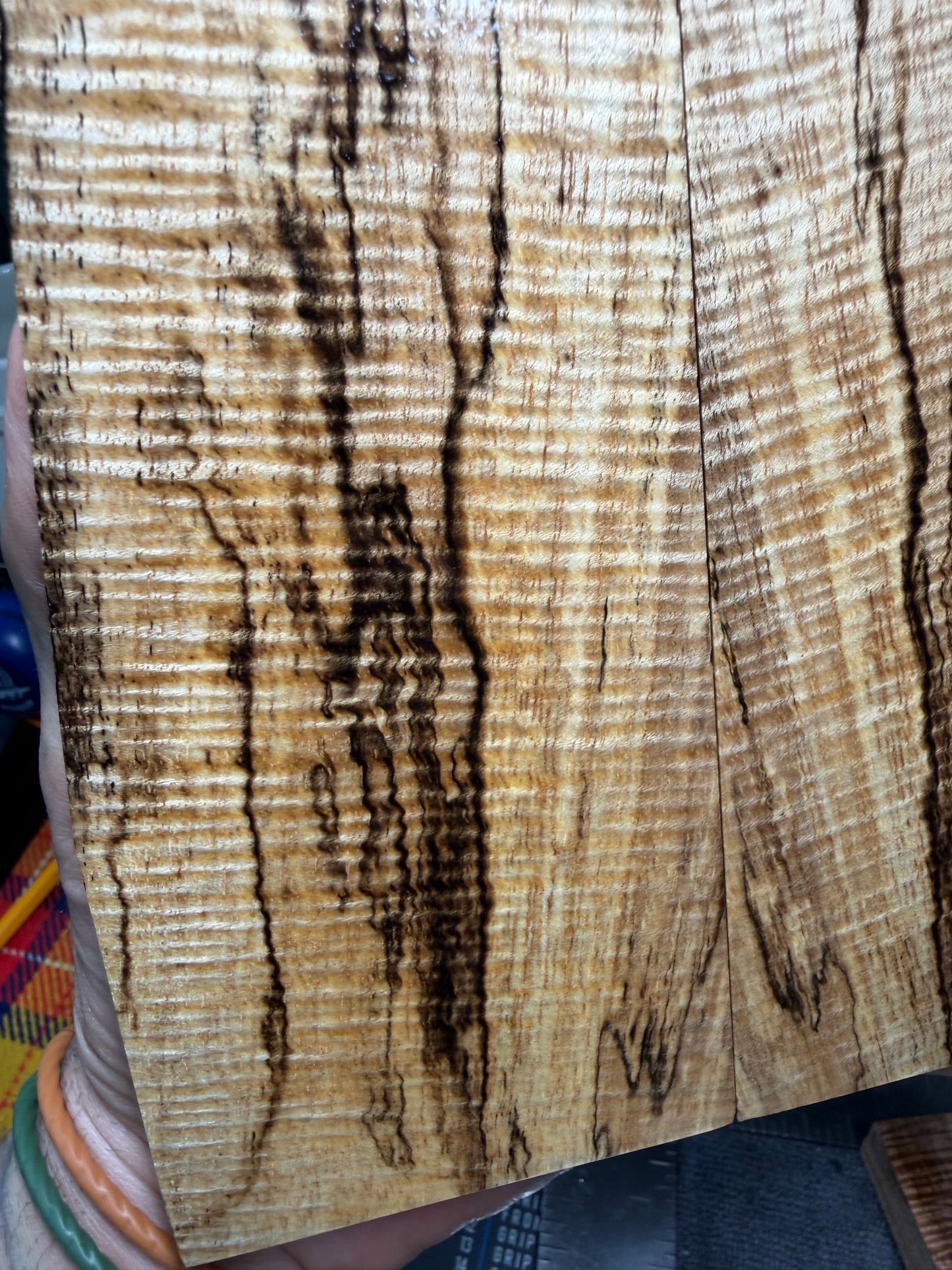 Spalted Curly Koa Scales SK3 6 1/2”x2 1/4-3 1/8”x.44