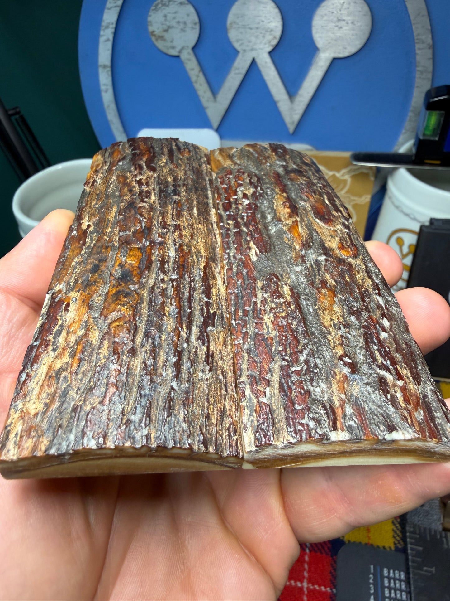 Stabilized Fossil Woolly Mammoth Tusk Scales WMT1 4 15/16”x1 3/4”x.43”