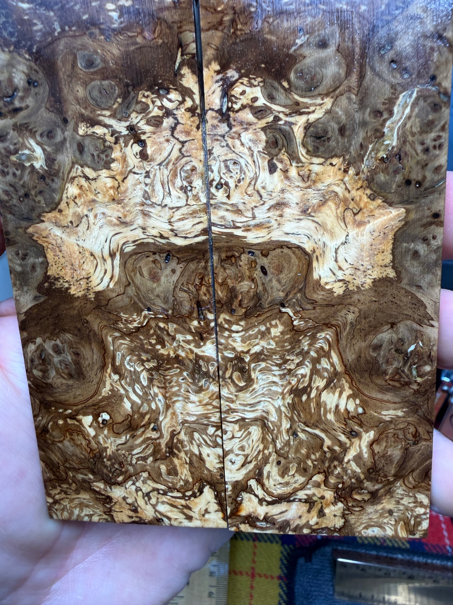 Spalted Almond Burl Scales SALB4 5 5/8”x1 11/16”x.42”