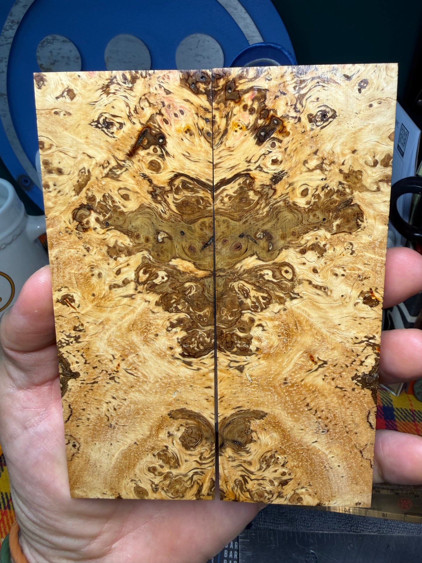 Spalted Almond Burl Scales SALB2 5 5/8”x2 1/16”x.4”