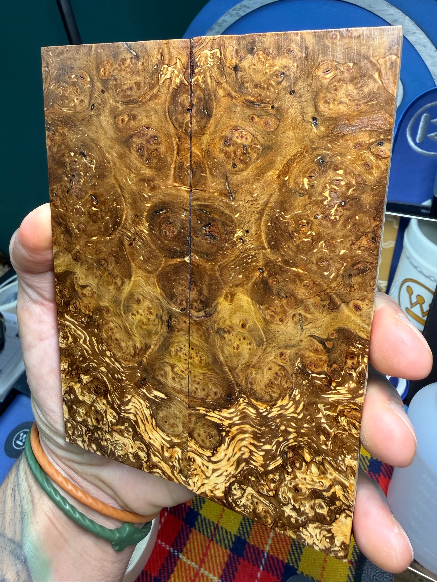 Spalted Almond Burl Scales SALB1 5 3/4”x2 1/16”x.42”